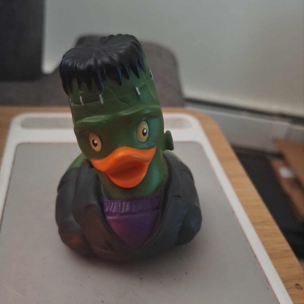Frankenstein Duck